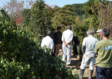 2016年10月の植木市の様子です